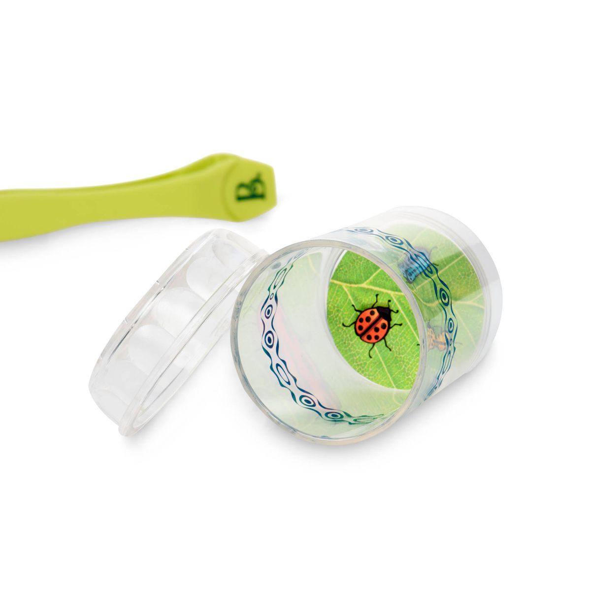 Insect Catching Kit